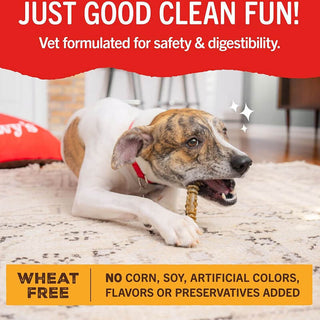 Stella & Chewy's Dental Delights Medium