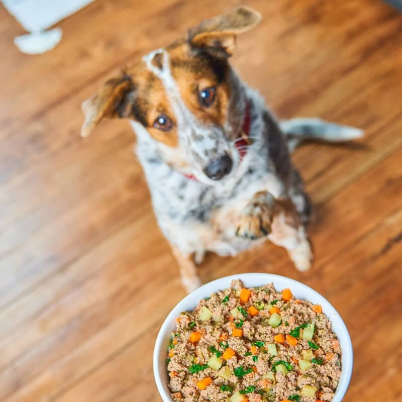 Stella & Chewy's FreshMade Meat-A-Palooza