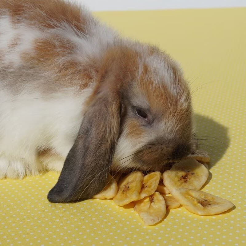 Sweet Meadow Farm Banana Chips 5.57 oz