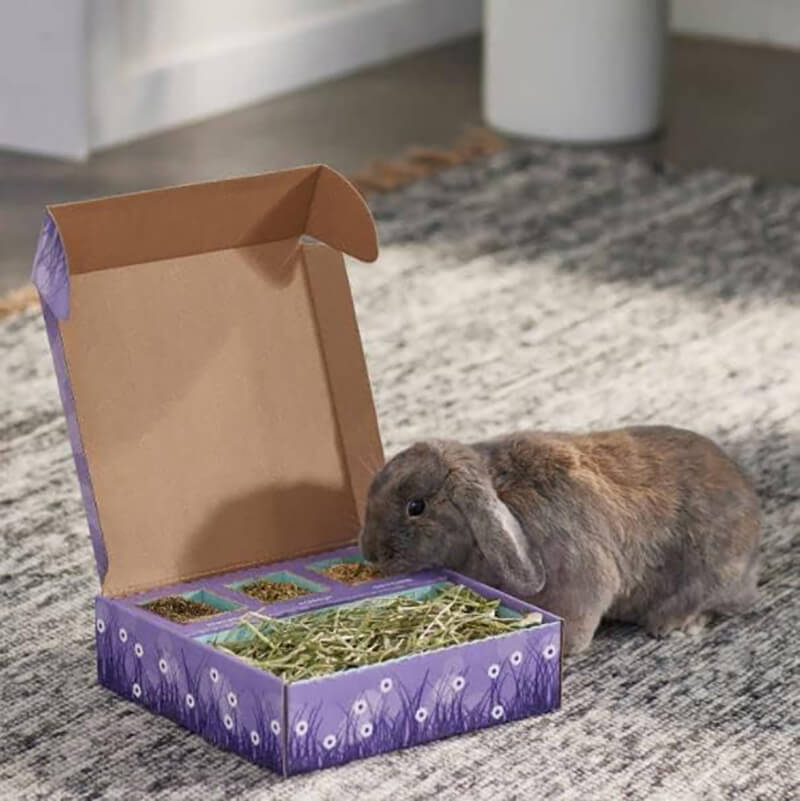 Sweet Meadow Farm Bunny Bento Box with Oats & Dandelion