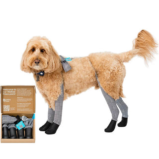 Walkee Paws Deluxe Easy-On Boot Leggings