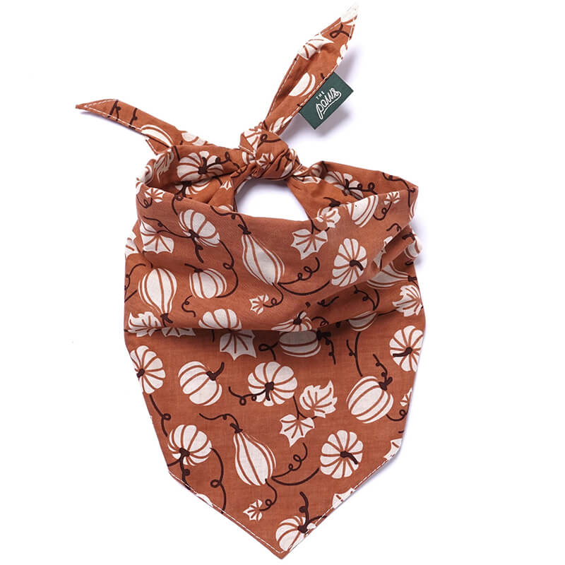 The Paws Bandana - Harvest Fall