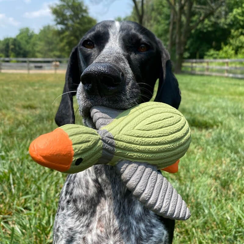 Tall Tails Latex Squeaker Duck