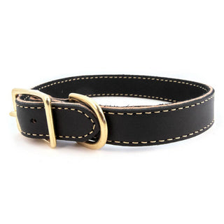Auburn Leathercrafters Lake Country Stitch Collar