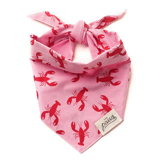The Paws Bandana - Frye Island