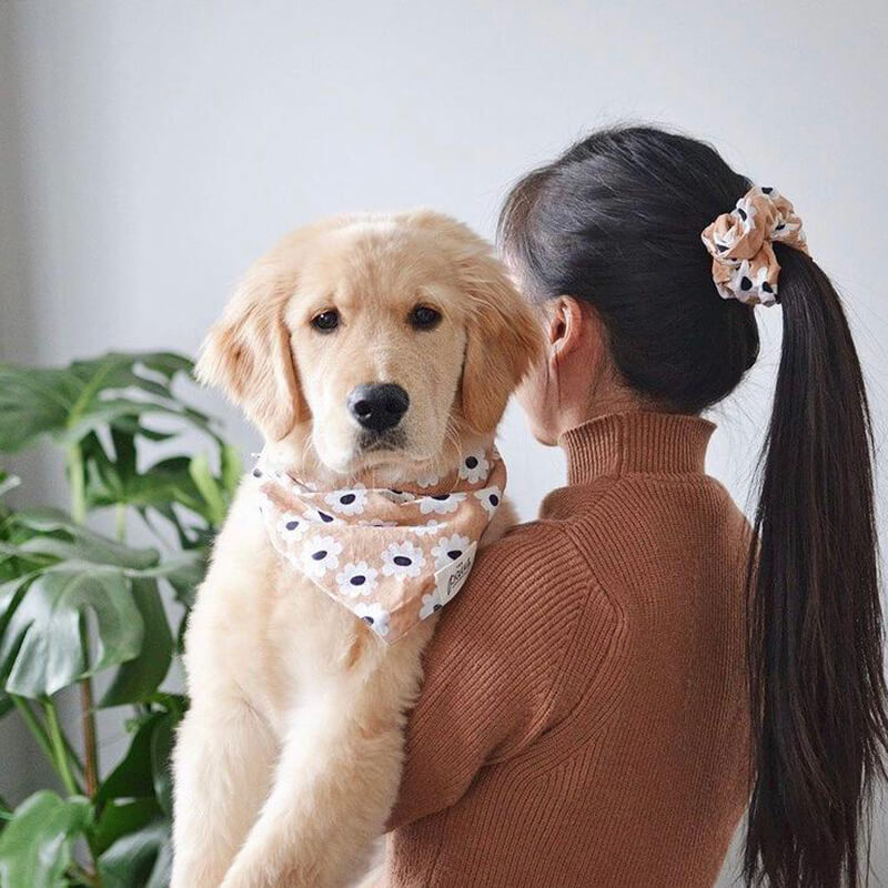 The Paws Fun Scrunchies - Dixie