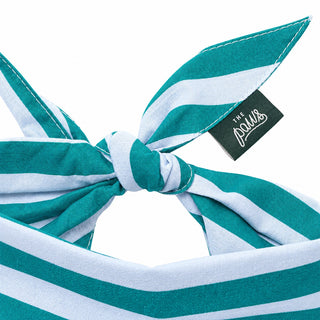 The Paws Bandana - Gili