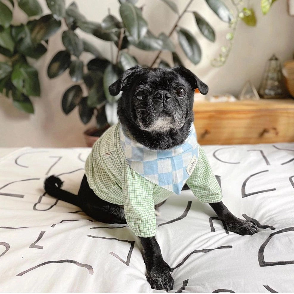 The Paws Bandana - Knight