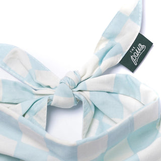 The Paws Bandana - Knight