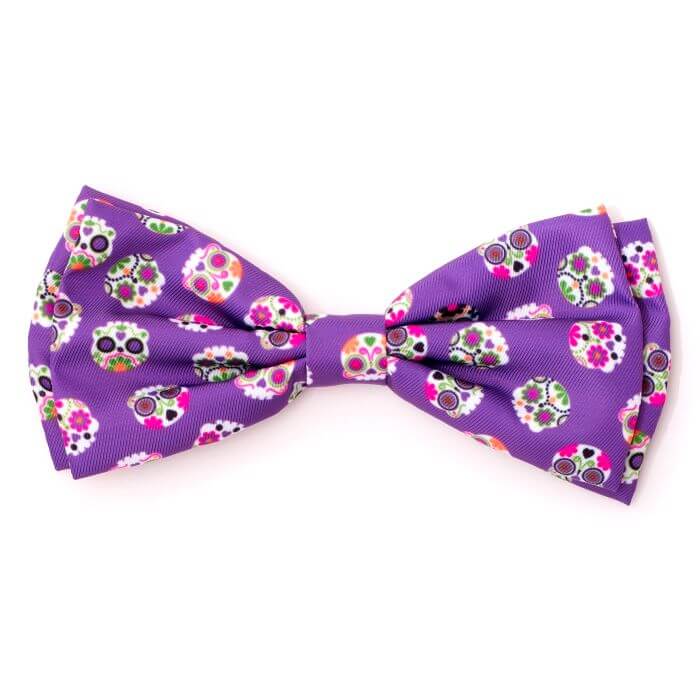 The Worthy Dog Bow Tie Purple Skeletons