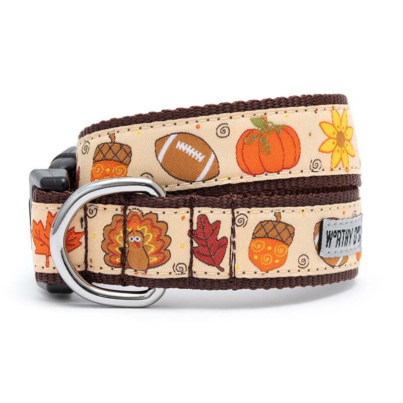 The Worthy Dog Collar Fallelujah