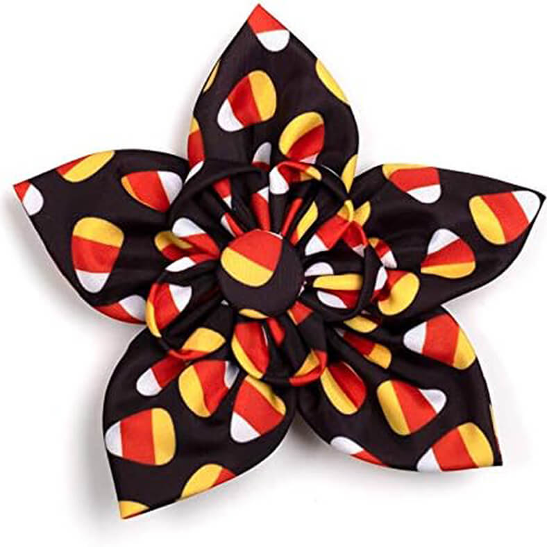 The Worthy Dog Flower Candy Corn