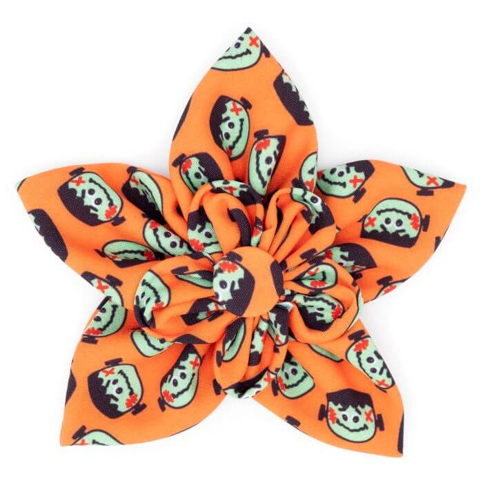 The Worthy Dog Flower Orange Frank