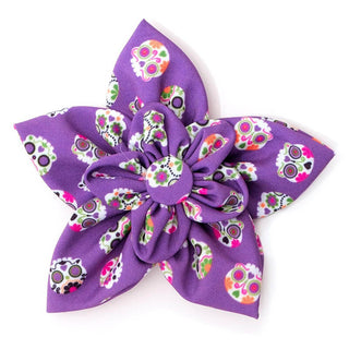 The Worthy Dog Flower Purple Skeletons