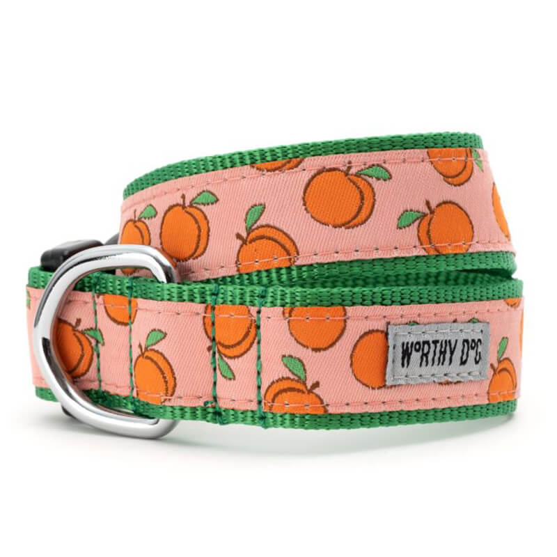 The Worthy Dog Collar Peachy Keen