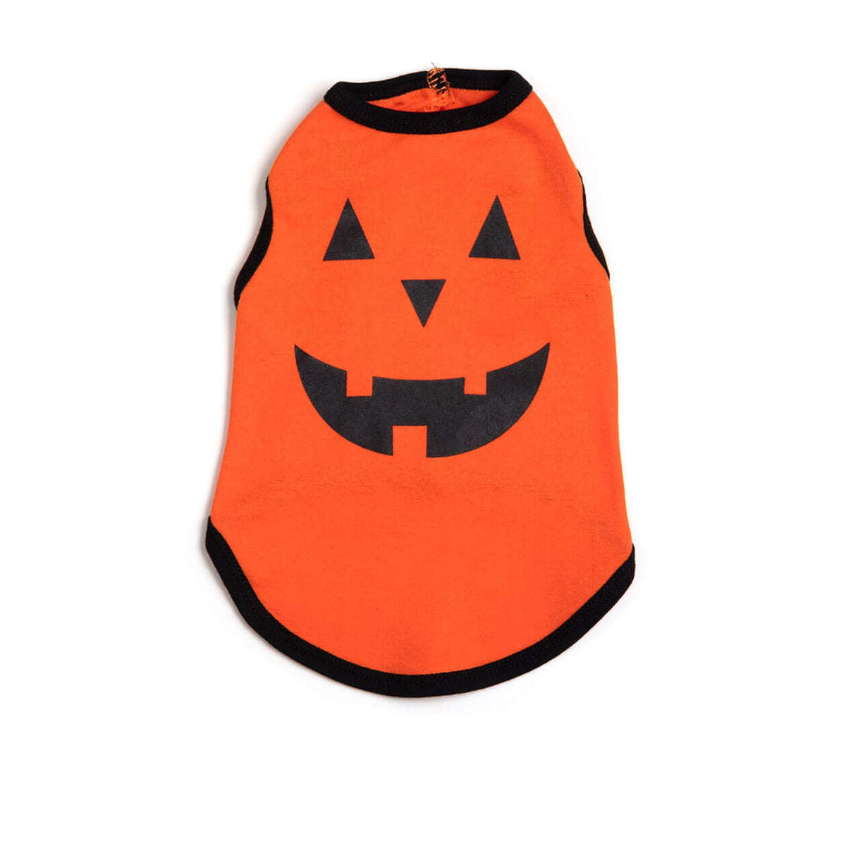 The Worthy Dog Pumpkin Tee