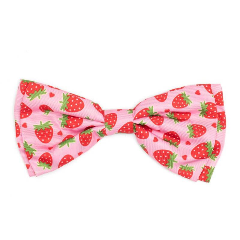 The Worthy Dog Bow Tie Strawberries