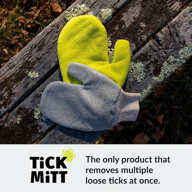 Tick Mitt