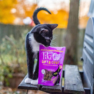 Tiki Cat Soft & Chewy Treat Chicken