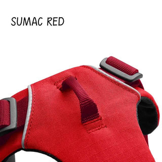 Ruffwear Front Range Harness