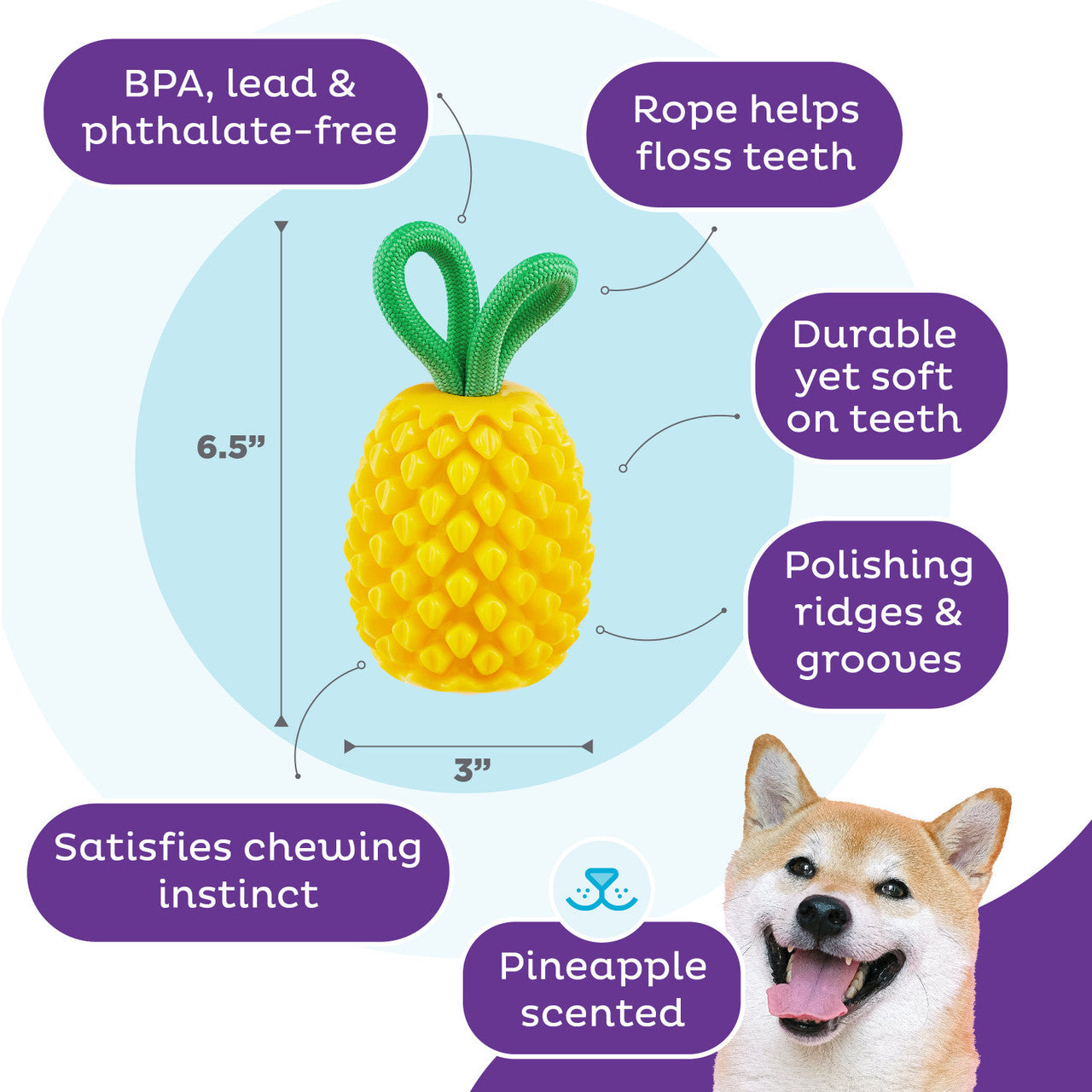 Planet Dog Pineapple Chew Toy