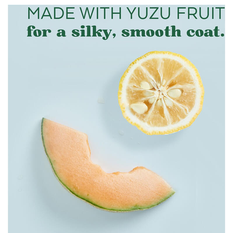 Tropiclean Essentials Moisturizing Yuzu Shampoo