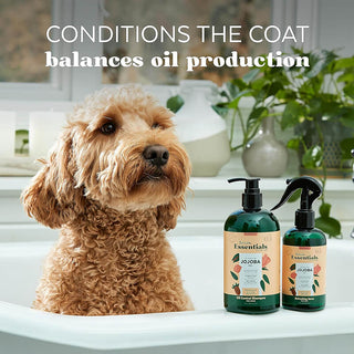 Tropiclean Essentials Oil-Control Jojoba Shampoo