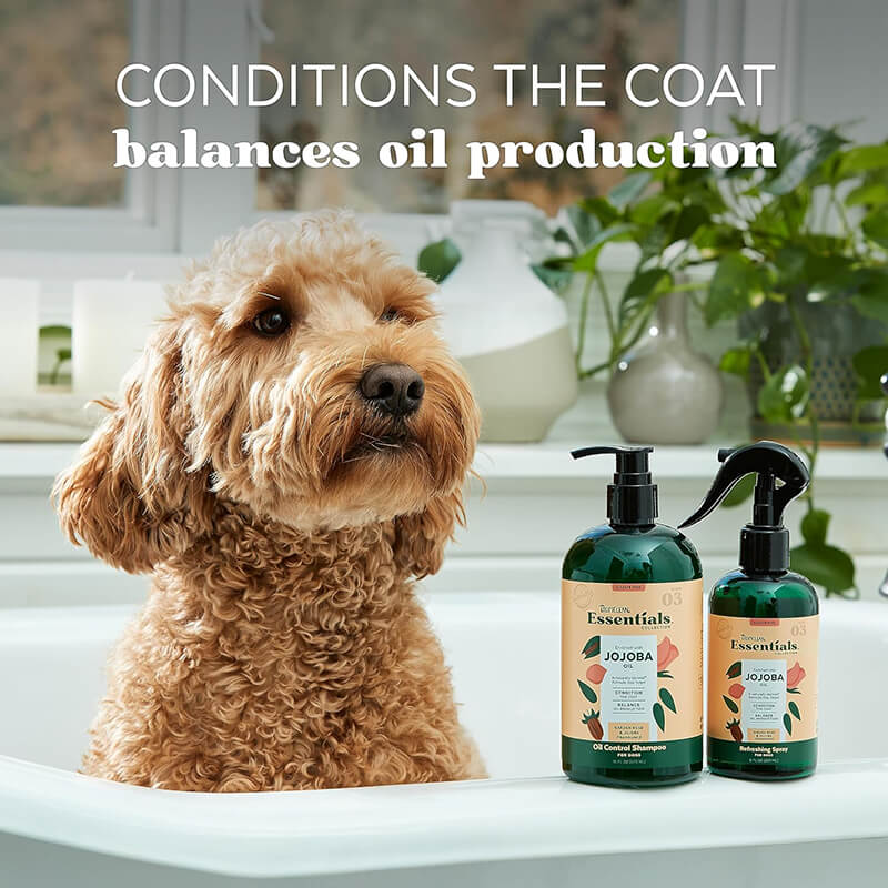 Tropiclean Essentials Oil-Control Jojoba Shampoo