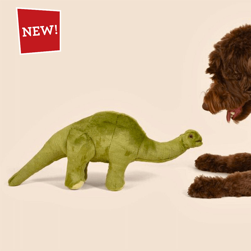 Fluff & Tuff Emily Brontosaurus