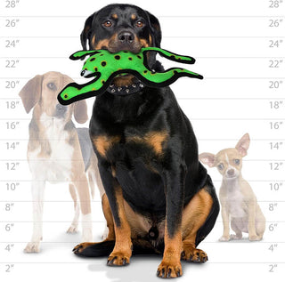 Tuffy® Desert Phrog Leaping