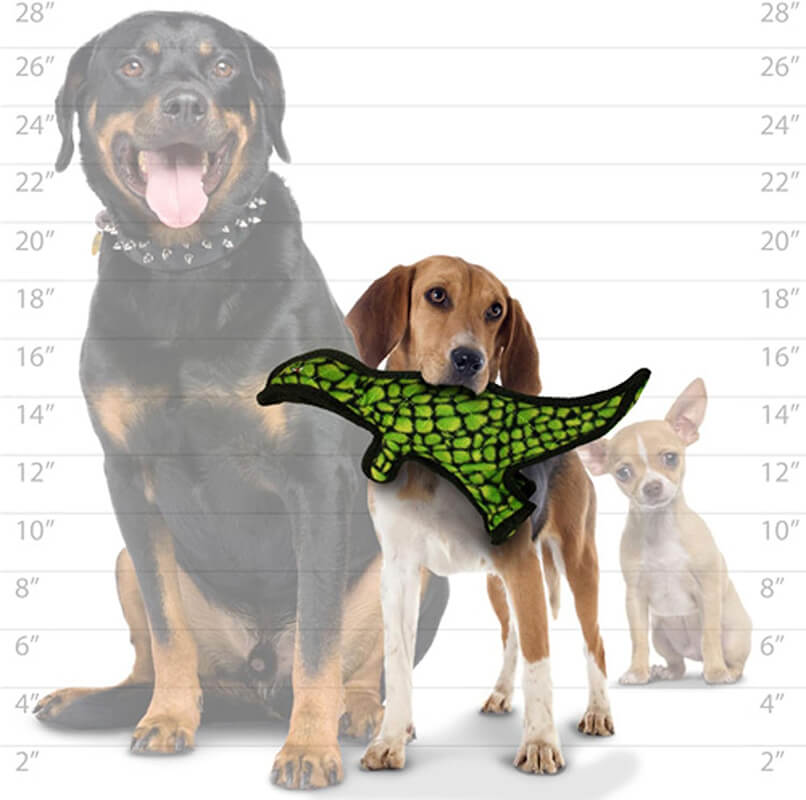 Tuffy® Dinosaur TRex