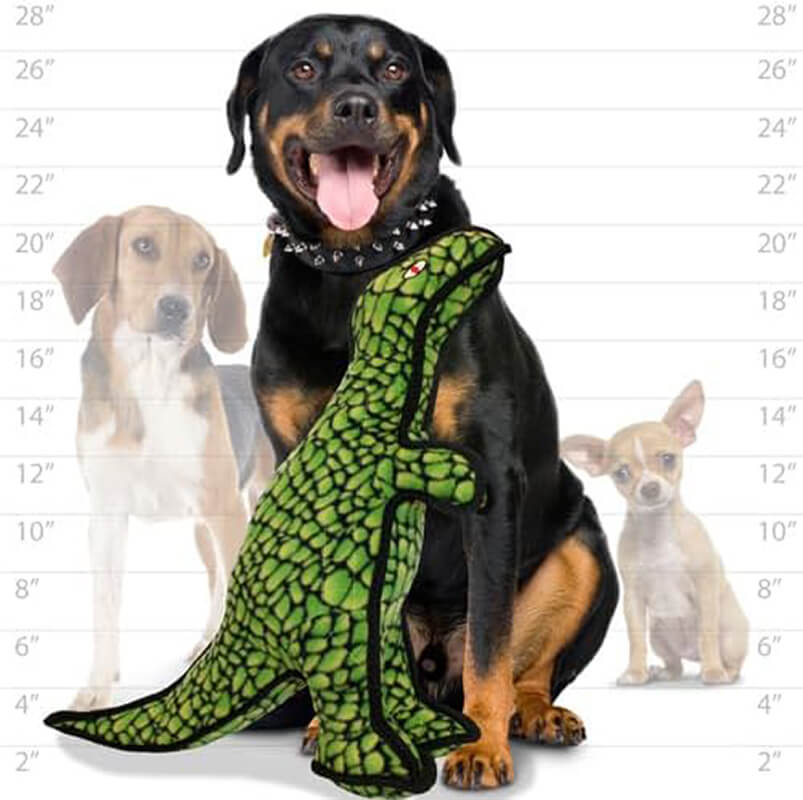Tuffy® Dinosaur TRex