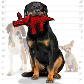 Tuffy® Dinosaur Triceratops