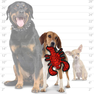 Tuffy® Ocean Lobster JR