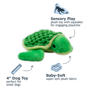 Tall Tails Squeaker Turtle