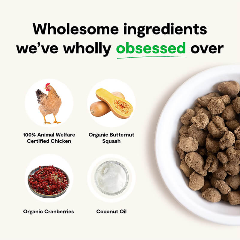 Open Farm Freeze Dried Raw Patties Harvest Chicken