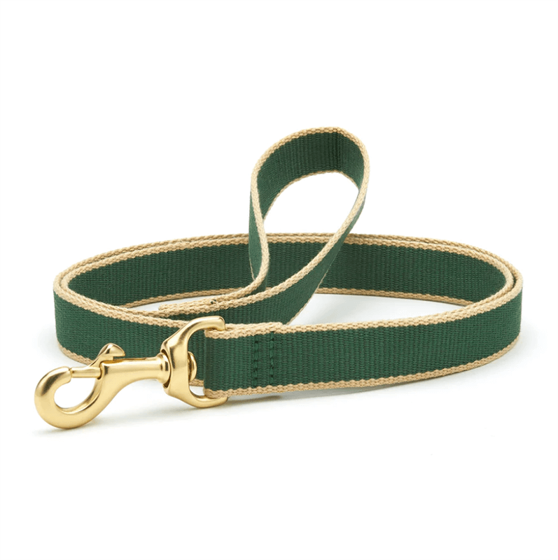 Up Country Color Market Leash