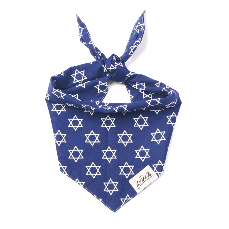 The Paws Bandana - Lights