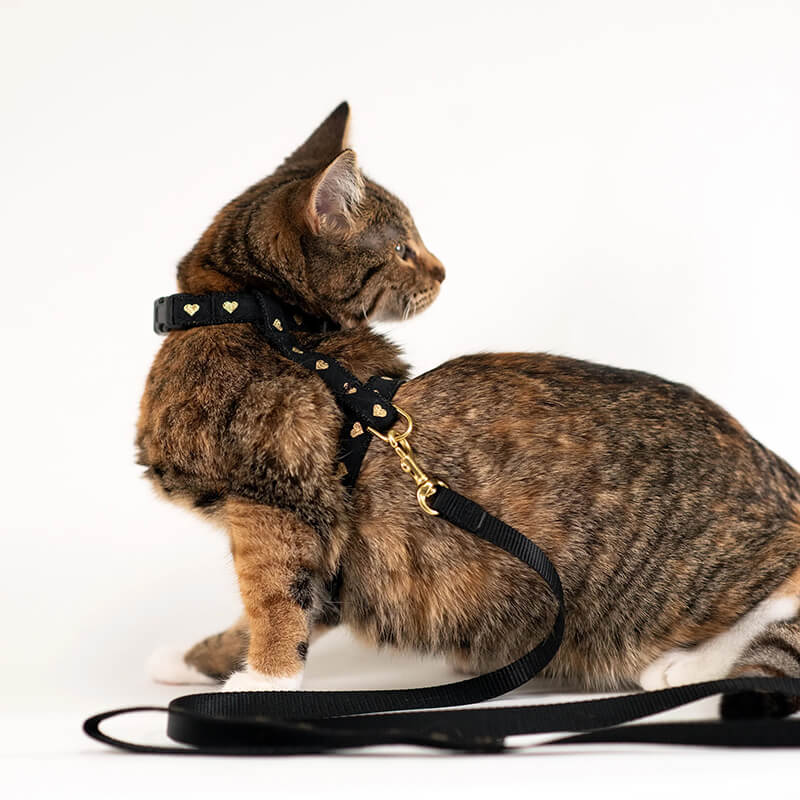 Up Country Cat Harness & Lead Set Heart of Gold