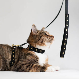 Up Country Cat Harness & Lead Set Pink Garden
