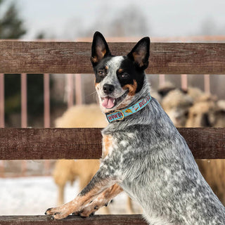 Up Country Collar Howdy Blue