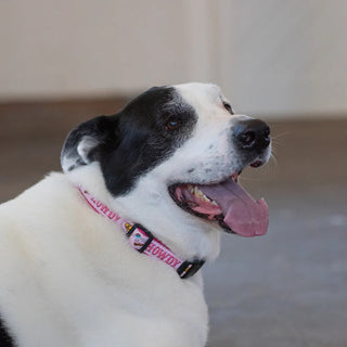Up Country Collar Howdy Pink