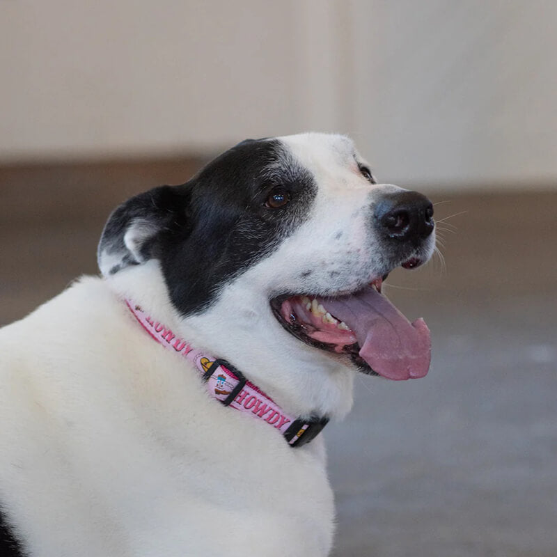 Up Country Collar Howdy Pink