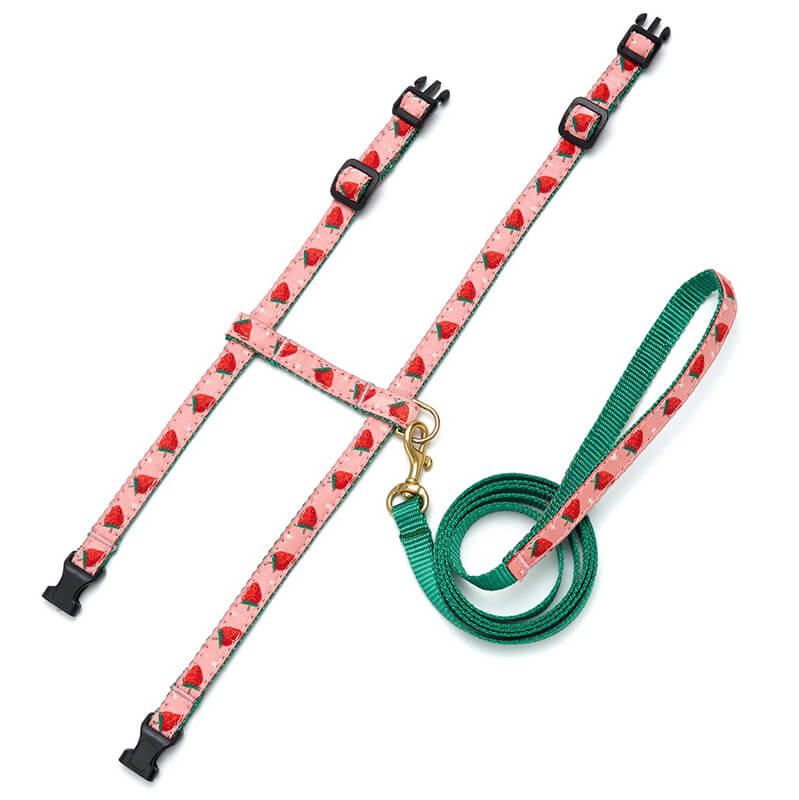Up Country Cat Harness & Lead Set Strawberry Fields