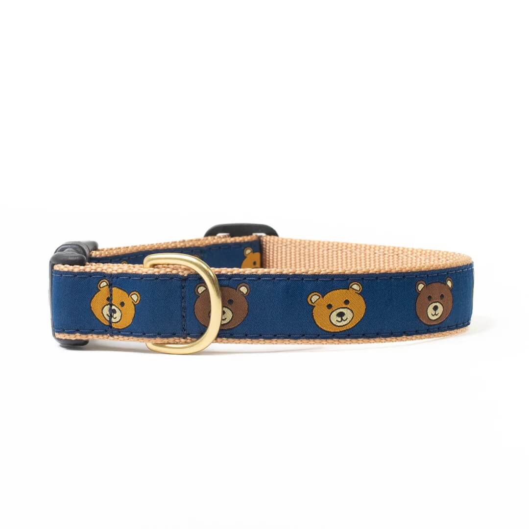 Up Country Collar Teddy