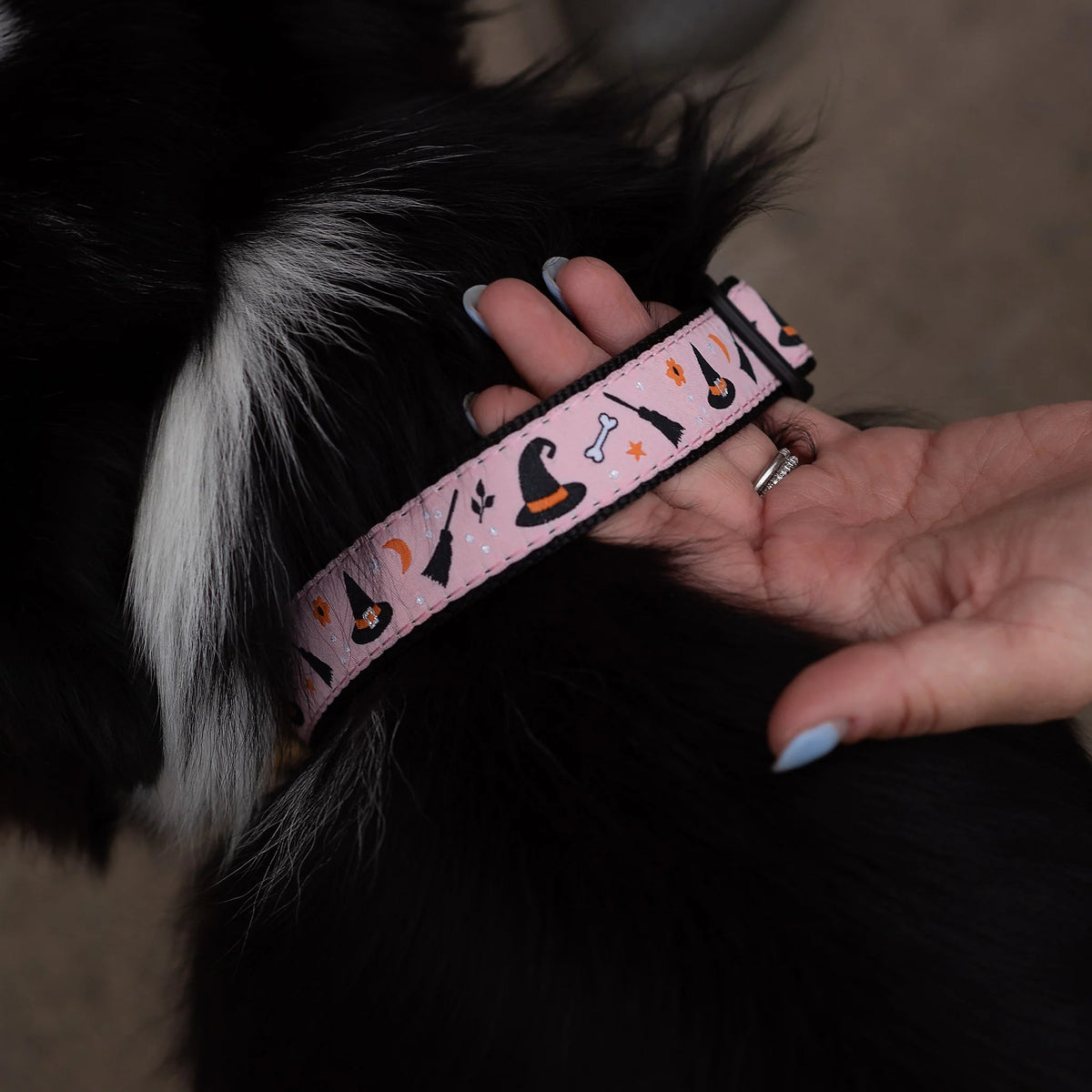 Up Country Witchy Dog Collar