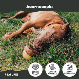 BARK Super Chewer Acornucopia