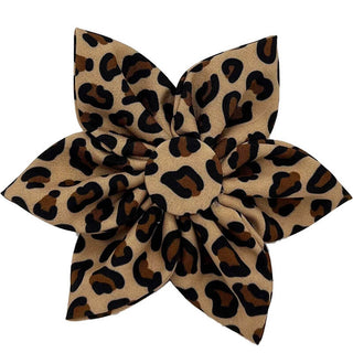 Huxley & Kent Pinwheel Tan Leopard