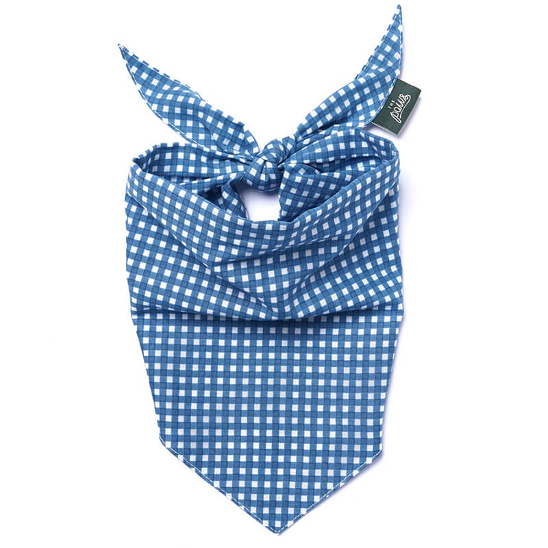 The Paws Bandana - Blue Gingham