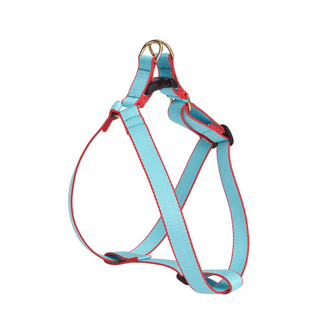 Up Country Color Market Harness